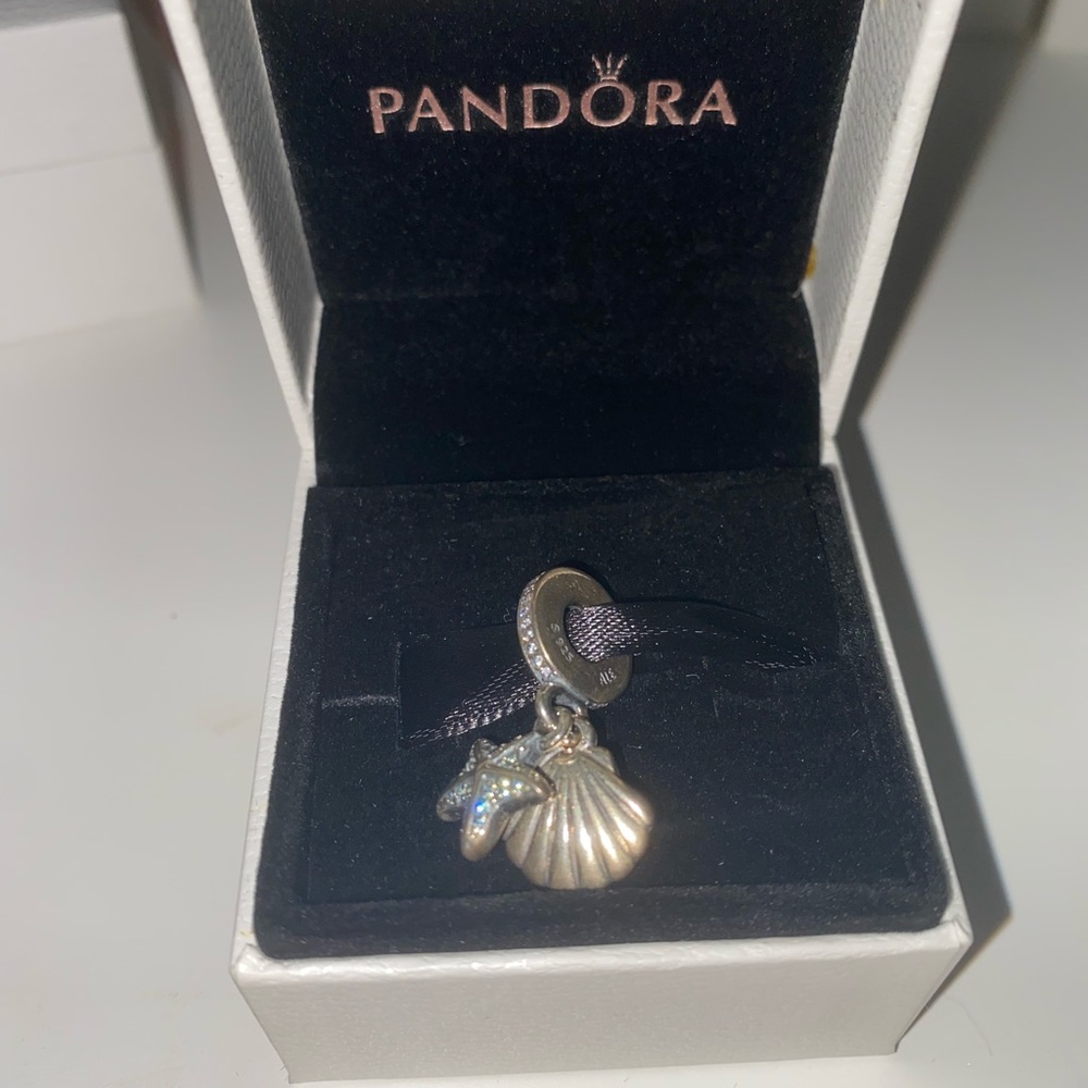 Pandora Bracelet Charm